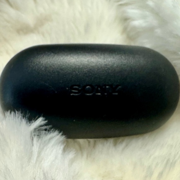 Sony Black Earbuds